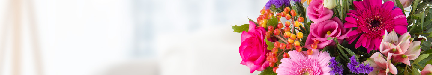 Blumen Zum Geburtstag Blumenshop De