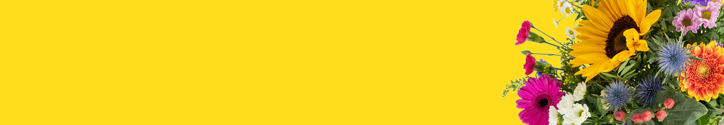 Sommerblumen