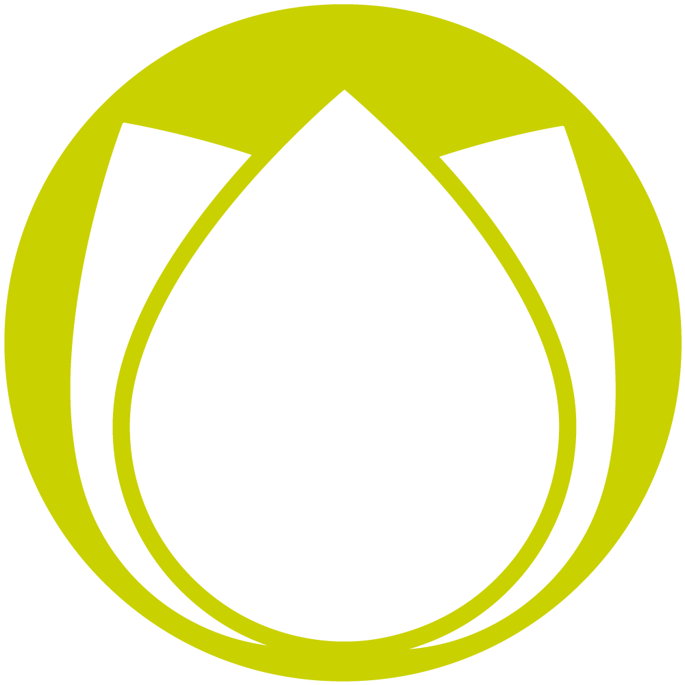Prosecco Mionetto Frizzante (0,75l)