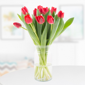 10 Rote Tulpen