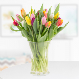 20 Bunte Tulpen