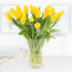 20 Gelbe Tulpen