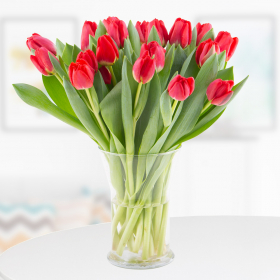 20 Rote Tulpen