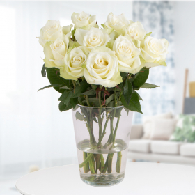10 Weiße Rosen (50cm)
