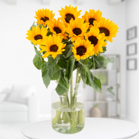 10 Sonnenblumen