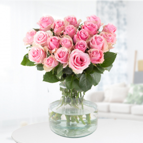 20 rosa Rosen (40 cm)