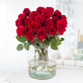 20 rote Rose (40 cm)