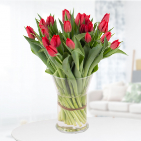 25 Rote Tulpen
