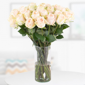 30 Premium-Rosen Cream mit XXL-Doppelblüte (50cm)