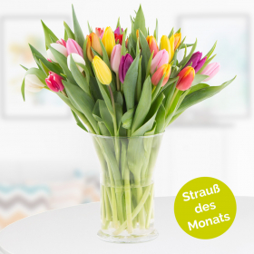 30 Bunte Tulpen