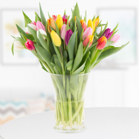 30 Bunte Tulpen