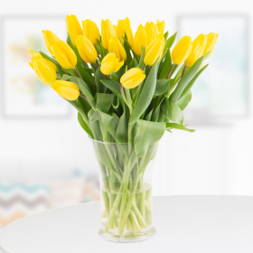 30 Gelbe Tulpen
