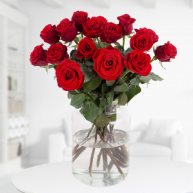Blumenstrauß 15 rote Rosen (50cm)