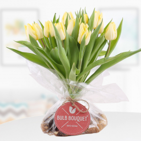 Bulb Bouquet Gelb - Tulpenstrauß mit Zwiebeln