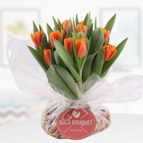 Bulb Bouquet Orange - Tulpenstrauß mit Zwiebeln 