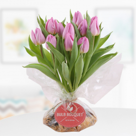 Bulb Bouquet Rosa - Tulpenstrauß mit Zwiebeln