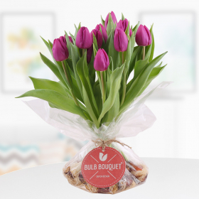 Bulb Bouquet Lila - Tulpenstrauß mit Zwiebeln