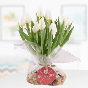 Bulb Bouquet Weiß - Tulpenstrauß mit Zwiebeln
