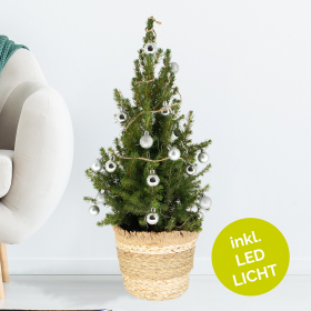 Weihnachtsbaum Silber mit 24 Kugeln + Beleuchtung | +/- 60 cm | ø 19 cm | Picea