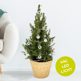 Weihnachtsbaum Silber mit 24 Kugeln + Beleuchtung | +/- 60 cm | ø 19 cm | Picea