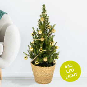 Weihnachtsbaum Gold mit 24 Kugeln + Beleuchtung | +/- 60 cm | ø 19 cm | Picea