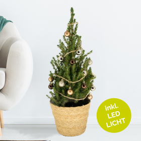 Weihnachtsbaum Mehrfarbig mit 24 Kugeln + Beleuchtung | +/- 60 cm | ø 19 cm | Picea