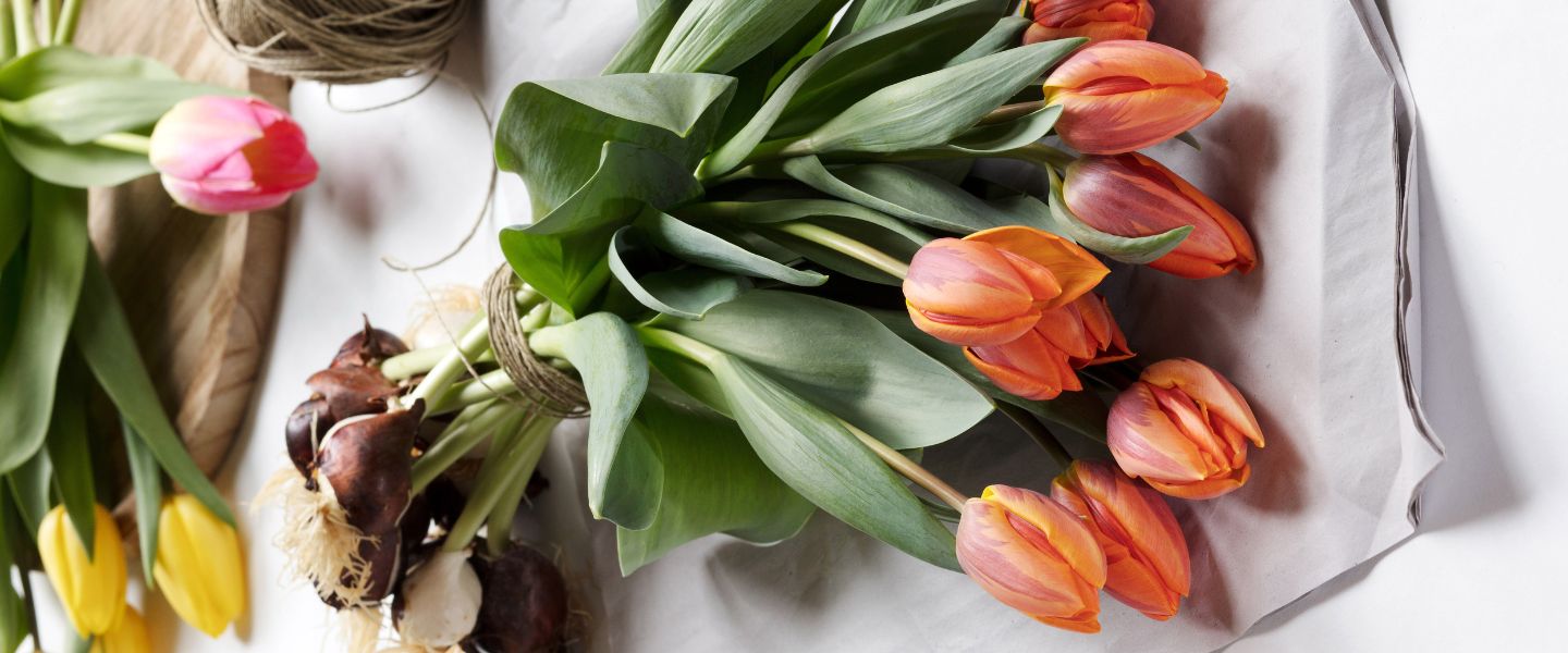 Tulpenstrauß mit Zwiebeln: das Bulb Bouquet