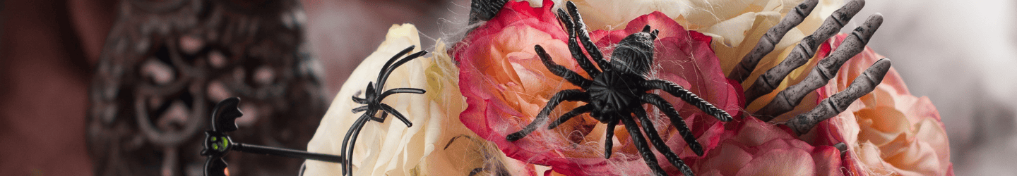 Blumen zu Halloween bestellen