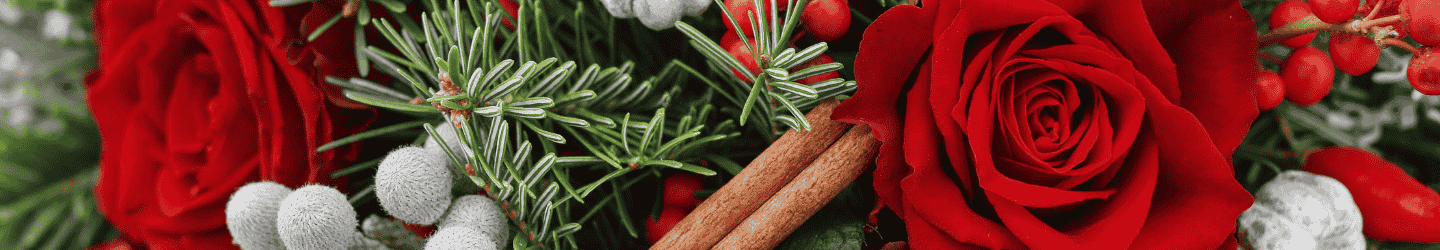 Die besten Alternativen zum Weihnachtsbaum