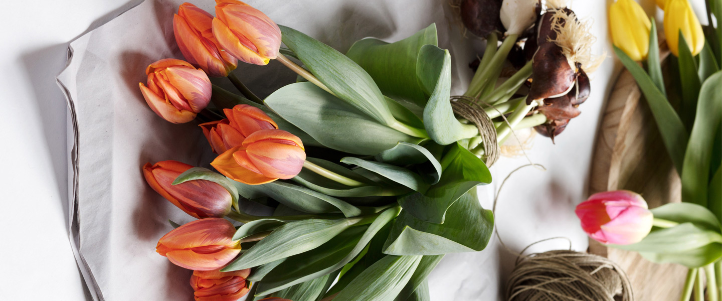 Tulpenstrauß mit Zwiebeln: das Bulb Bouquet