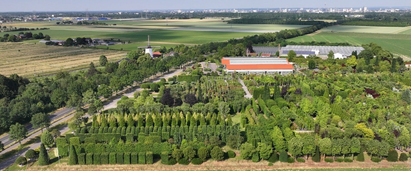 Blumen online verschicken nach Kaarst Blumen online verschicken nach Kaarst
