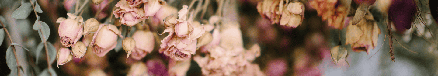 Blumen trocknen: Tipps & Anleitungen