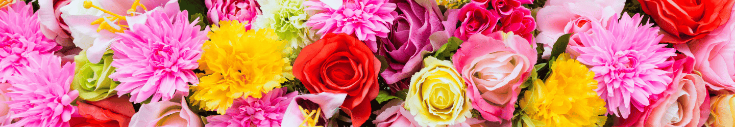 Blumenfarben und ihre Bedeutung Blumenfarben und ihre Bedeutung