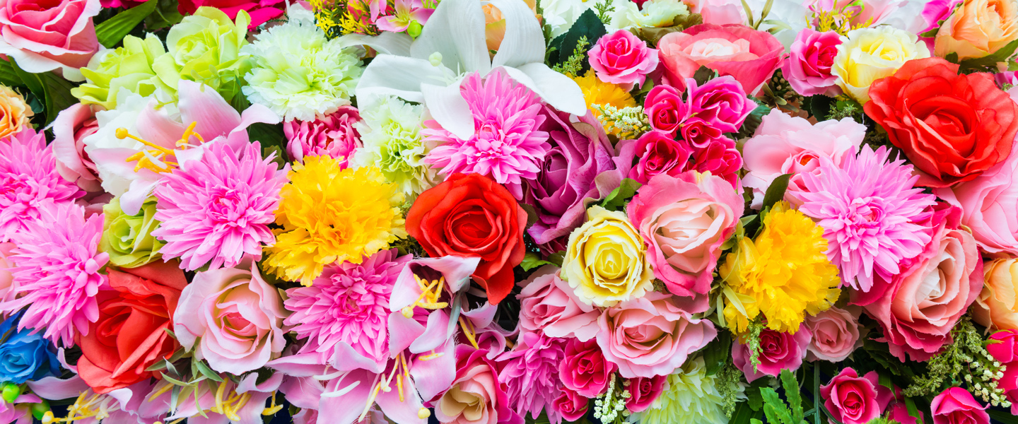 Blumenfarben und ihre Bedeutung