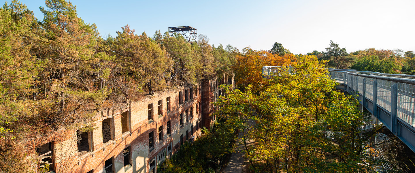 Blumenversand Beelitz