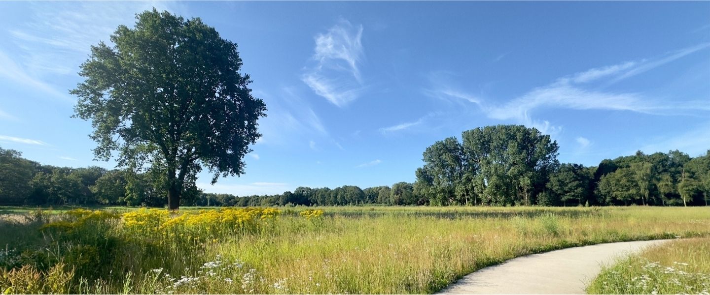 Blumenversand Gronau Blumenversand Gronau