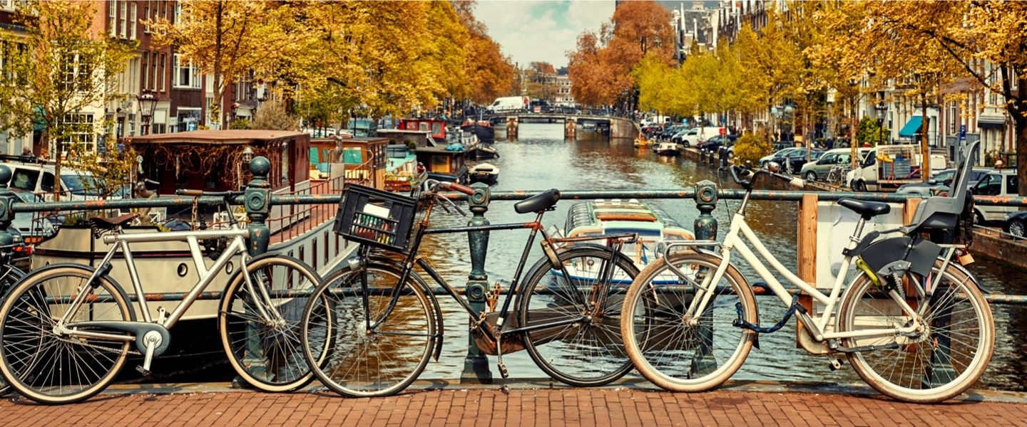 Blumenversand in die Niederlande