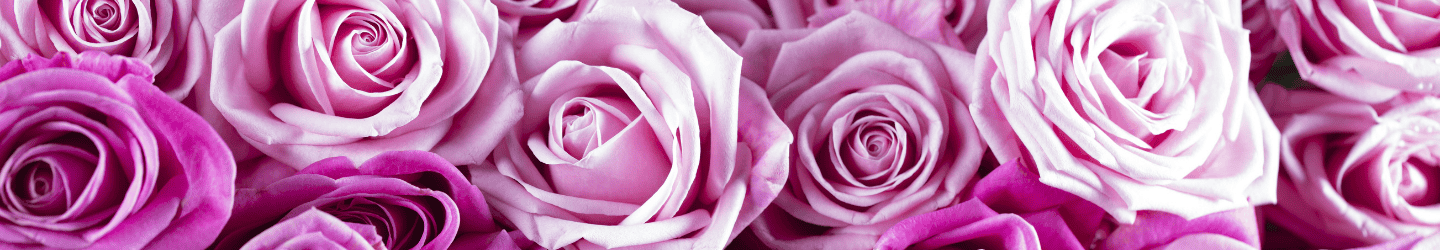 Rosen zum Valentinstag verschicken