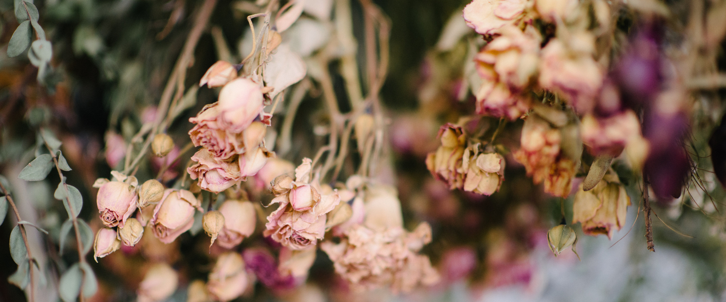 Blumen trocknen: Tipps & Anleitungen