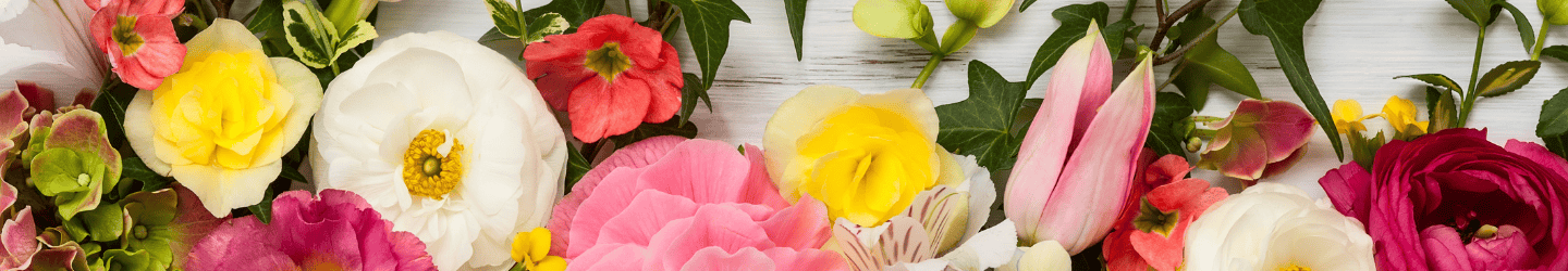 Blumenversand Deutschland