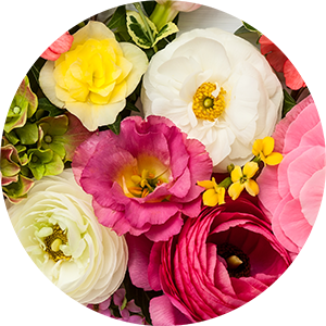 Blühkalender - Welche Blumen blühen wann?