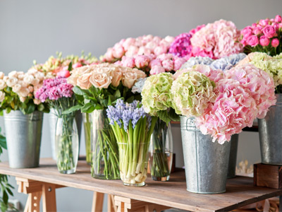 Blumen zu fairen Preisen bestellen