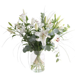 Blumenstrauß Weiß Lilien bestellen
