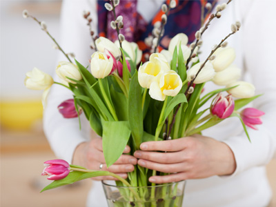 Tulpen online bestellen
