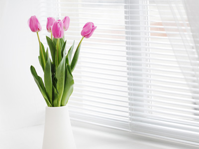 Tulpen online bestellen