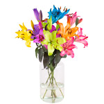 Lilien Lilien