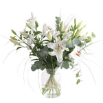 Lilien Lilien