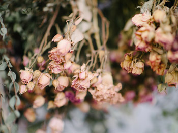 Blumen trocknen: Tipps & Anleitungen