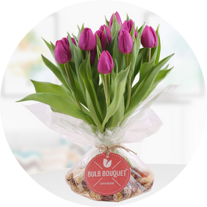 Tulpen mit Zwiebeln: Unser Bulb Bouquet