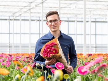 Blumen aus regionalem Anbau